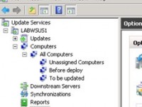 Utilizando o Windows Server Update Services (WSUS) para automatizar e otimizar atualizações em sua rede