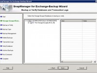 Backup utilizando SnapManager para Exchange