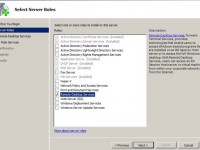 Instalando o Remote Desktop Service Licensing