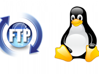 Instalando e configurando o Proftpd no Linux Debian